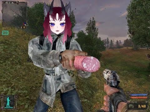 Видео: { S.T.A.L.K.E.R.: Clear Sky }  Ну прям чистое небо  #vtuber #ruvtuber #ohakategami