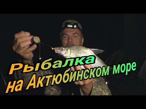 Видео: Рыбалка отдых на Актюбинском ВДХР  Ловля леща и карася на снасть крышка г Актобе 2024г