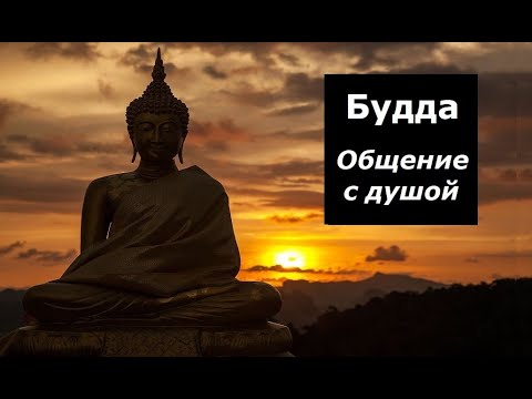 Видео: Будда общение с душой