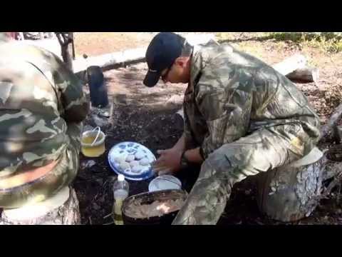 Видео: Река Варзуга. Кольский полуостров