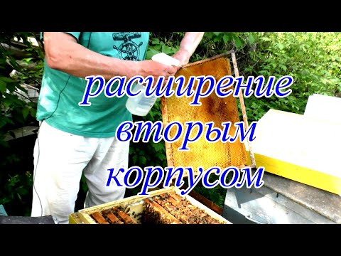 Видео: Предотвратить РОЕНИЕ или РАСШИРЕНИЕ гнезда вторым корпусом