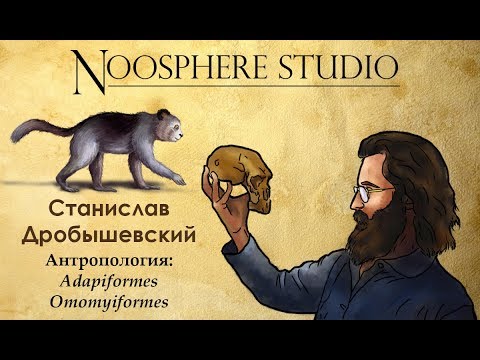 Видео: Антропология: Adapiformes и Omomyiformes. Станислав Дробышевский