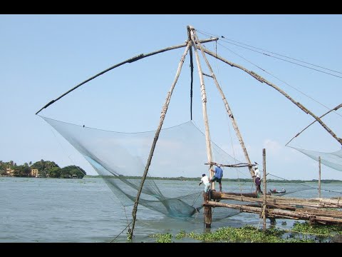 Видео: рыбалка на паук подъемник рыбы полно