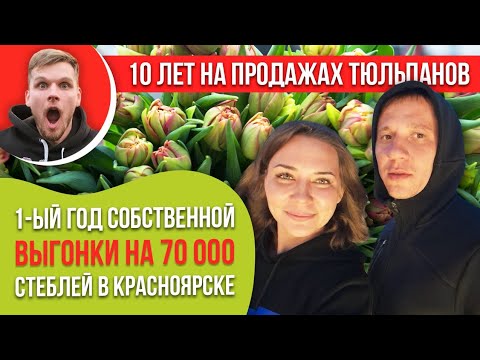 Видео: Выгонка 70 000 тюльпанов в Красноярске на гидропонике. Первый год. Опыт наших клиентов.