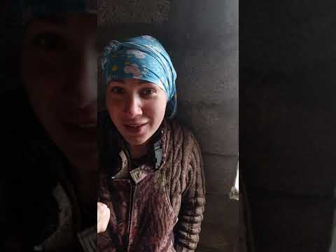 Видео: Гос программа"переезд из районов крайнего севера и приравненных к ним местностях"