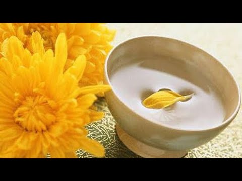 Видео: Хризантема - цветок вечной молодости.#ароматравы #лечебныетравы #tagetes