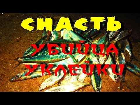 Видео: Снасть на уклейку, себеля, селяву. Рыбалка в Таганроге.