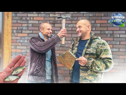 Видео: Зарыбление пруда необычной рыбой. Цоколь из демлера облицовываем натуральным камнем.