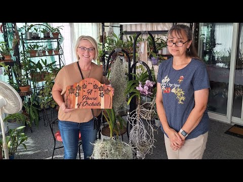 Видео: Как выращивают орхидеи мои друзья в Америке . Снова по гостям ! 6 лет в хобби а какие результаты ❤️😁