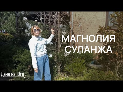 Видео: Дача на Юге - Магнолия Суланжа
