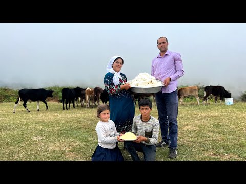 Видео: Доение коров и приготовление органического масла и сыра из свежего молока