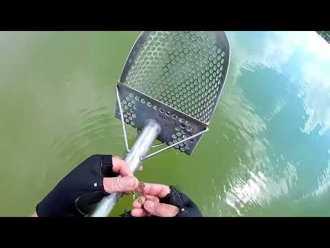 Видео: МЖК Нашел кольца под водой! Пляжный подводный поиск ЗОЛОТА с металлоискателем и скупом!