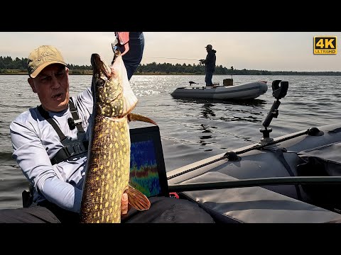 Видео: Рыбалка на Щуку в конце Августа 2025 с Panoptix и без него