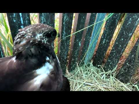 Видео: Уборочные работы продолжаются