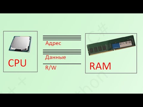 Видео: 03. Основы устройства компьютера. Память и шина. [Универсальный программист]
