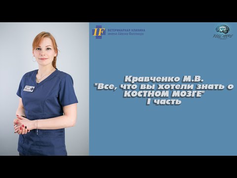 Видео: "ВСЕ, что вы хотели знать о КОСТНОМ МОЗГЕ" Кравченко М.В. I часть