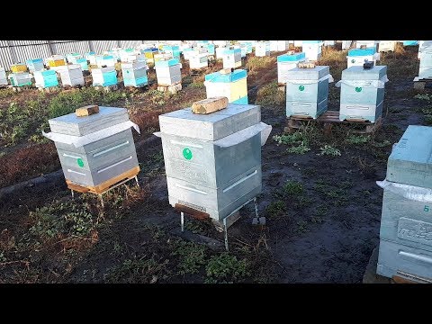 Видео: Способ зимовки на сетке!Пленка или холстик?Ответы на вопросы! Мини+ !!!