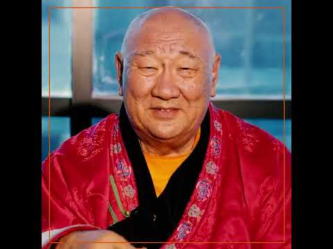 Видео: Бидний нэг - Д.ЧОЙЖАМЦ Гандантэгчэнлин  хийдийн тэргүүн хамба лам