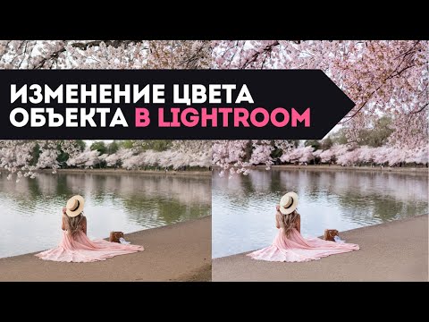 Видео: КАК ИЗМЕНИТЬ ЦВЕТ ОБЪЕКТА В ЛАЙТРУМЕ