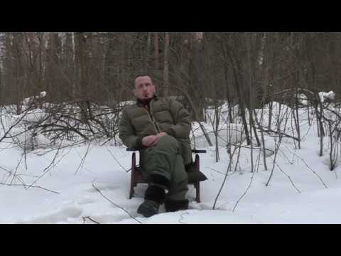 Видео: Жук усач или жук дровосек, в деревянном доме ч1