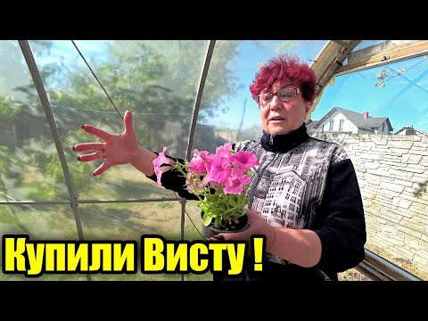 Видео: Купили новые цветочки!