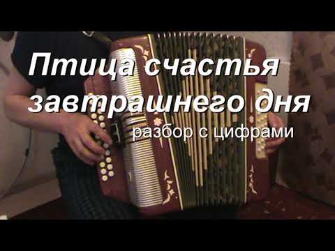 Видео: Птица счастья завтрашнего дня разбор с цифрами