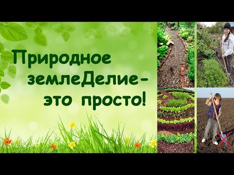 Видео: Природное землеДелие - это просто! (Семинар)