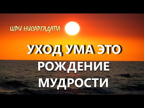 Видео: СМЕРТЬ УМА ЭТО РОЖДЕНИЕ МУДРОСТИ[Н. Махарадж, озв. Никошо]