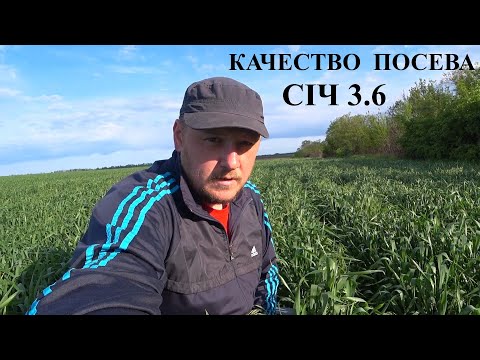 Видео: Качество посева. Осенние проблемы на озимой пшенице.