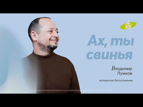 Видео: «Ах ты свинья» проповедует пастор Владимир Лужков