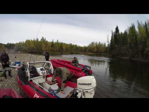 Видео: ВОДОМЕТНАЯ ОДИССЕЯ ч.6 │ Путешествие на водометных лодках фрегат Jet по горным рекам Тувы