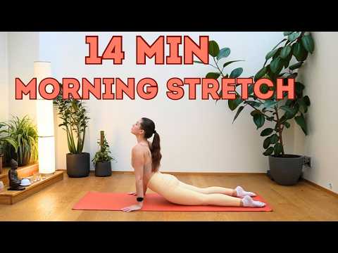 Видео: 14-минутная утренняя растяжка для начинающих | Развитие подвижности и гибкости всего тела