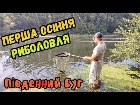 Видео: ОСІННЯ РИБОЛОВЛЯ 2023 / ШАУРМА НА ПРИРОДІ / ЧУДОВИЙ КЛЬОВ ЛЯЩА
