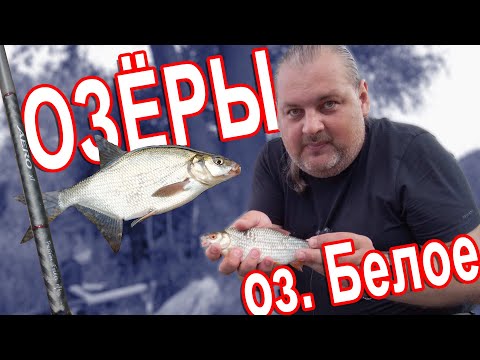 Видео: БЛУДНЫЙ КОТ - Рыбалка на озере Белое, Агрогородок Озёры.