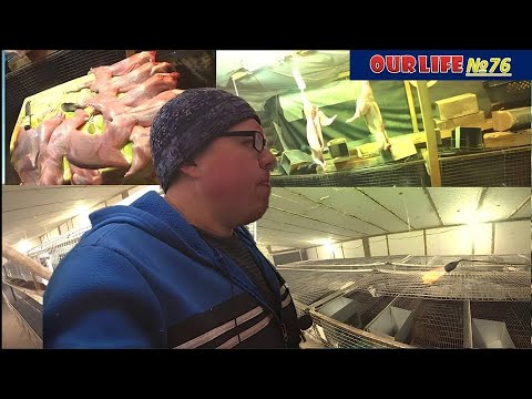 Видео: Зимний Забой Кроликов. Супергеройские лайфхаки.Эпическая уборка.Winter Rabbit Slaughter.Epiccleanup.