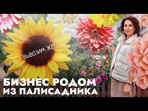 Видео: Бизнес родом из палисадника