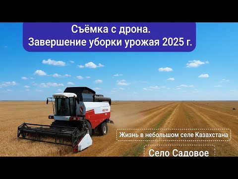 Видео: Финальные кадры сезона: уборка урожая 2025.