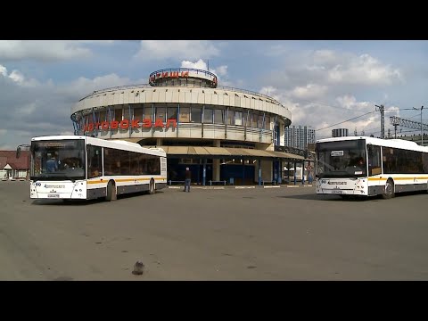 Видео: Госавтоинспекторы проверяют пассажирский транспорт Мытищ