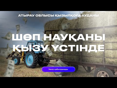 Видео: Қызылқоға ауданы