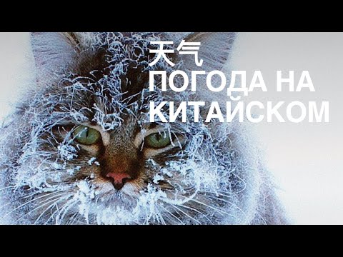 Видео: Учим китайский вместе. Тематический словарь с картинками. Погода