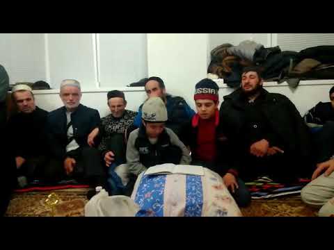 Видео: Мавлид Хаджалмахи