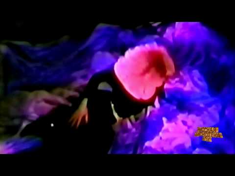 Видео: Марина Журавлёва - алые гвоздики.mp4