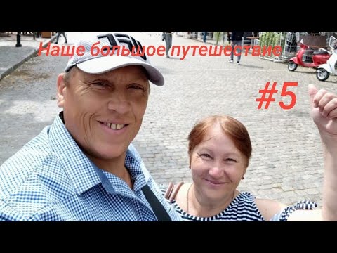 Видео: Путешествие с добрым сердцем: Кормим лебедей и собак