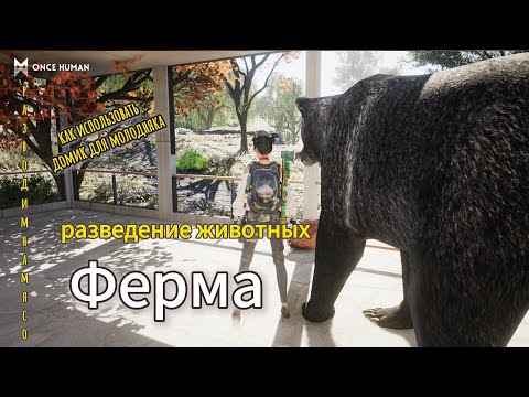 Видео: РАЗВЕДЕНИЕ домик для молодняка Как использовать? #oncehumangameplay