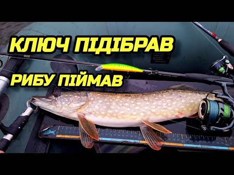 Видео: ✅️📣🔑ПРИМАНКУ ПІДІБРАВ-РИБУ ПІЙМАВ☝️😉👍#fishing #рибалка