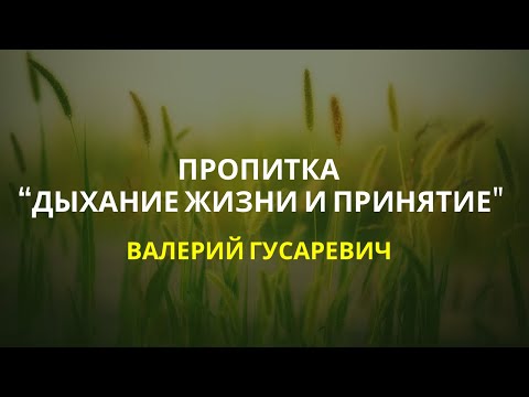 Видео: Пропитка «Дыхание жизни и принятие». Валерий Гусаревич