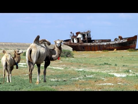 Видео: На месте Аральского моря – самая быстрорастущая пустыня в мире (новости)