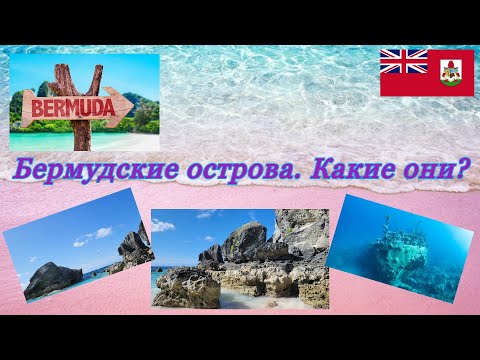 Видео: Бермудские острова. Какие они? Bermuda tour. Путешествия. immigrantochka