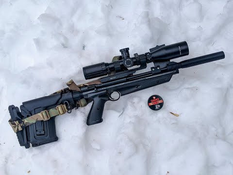 Видео: Crosman 1377 Buck Rail Gear — теперь лучшая пневматическая винтовка, которой я владею