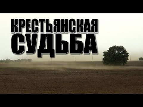 Видео: Специальный репортаж «Крестьянская судьба»
